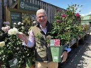Andy Rollings from David Austin Roses